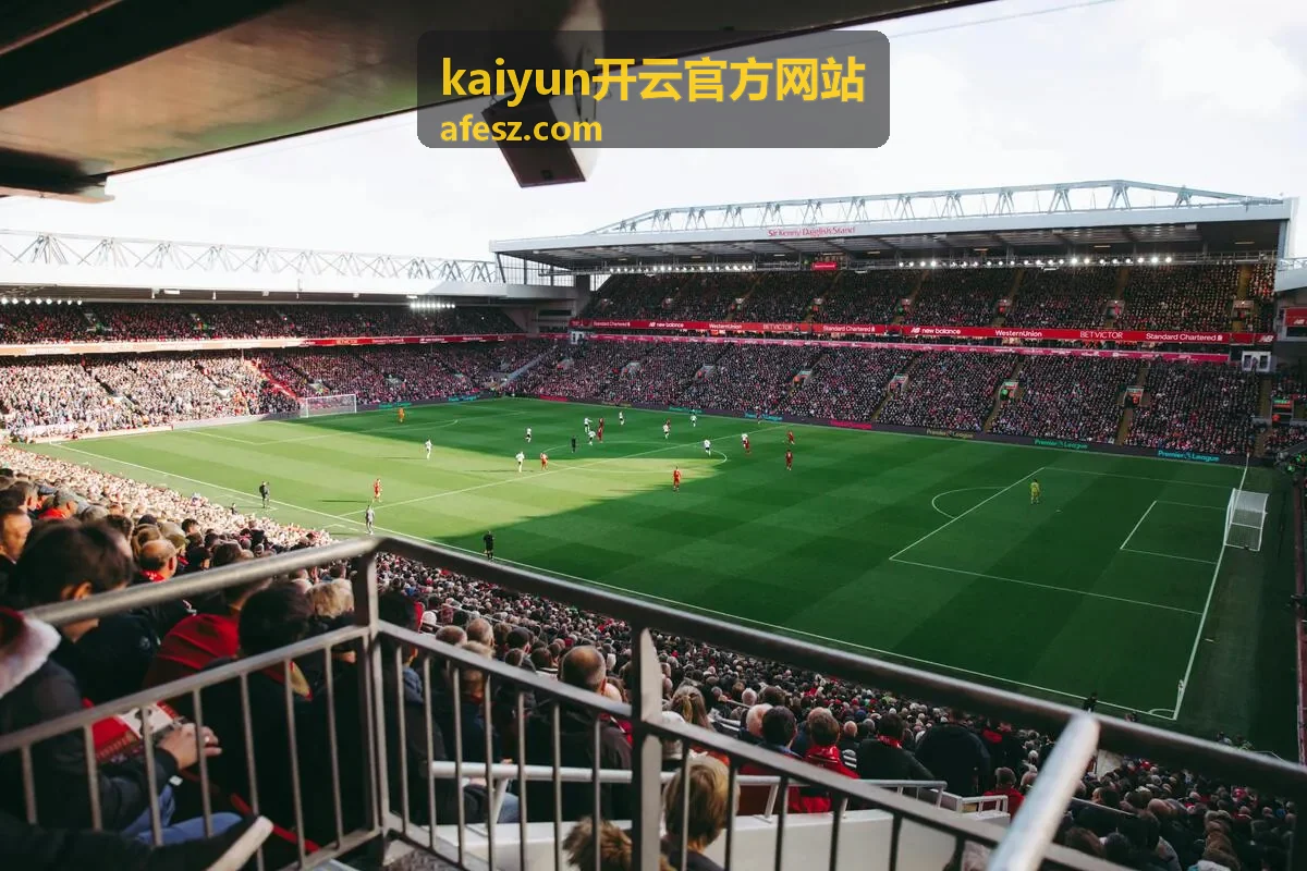 kaiyun开云官方网站帮助与支持栏目封面